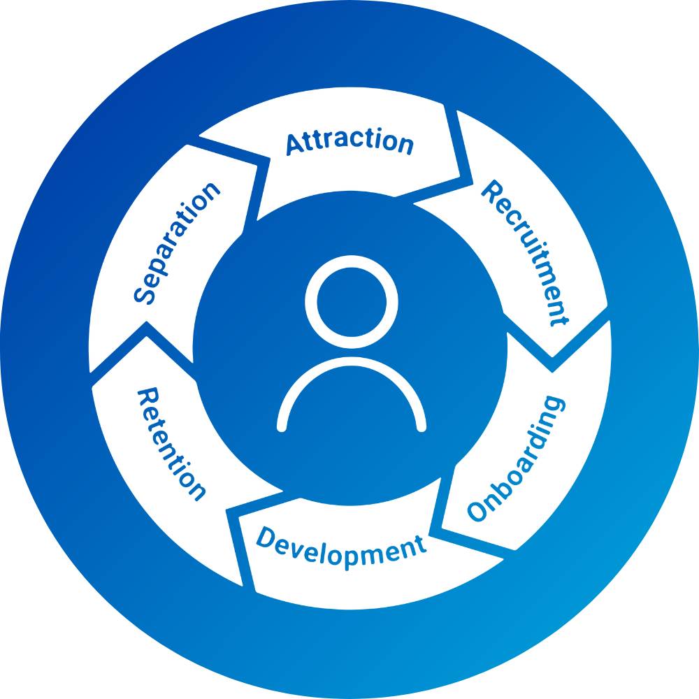 Employee lifecycle visually represented with arrows forming a circle. The employee lifecycle is attraction, recruitment, onboarding, development, retention, and separation.